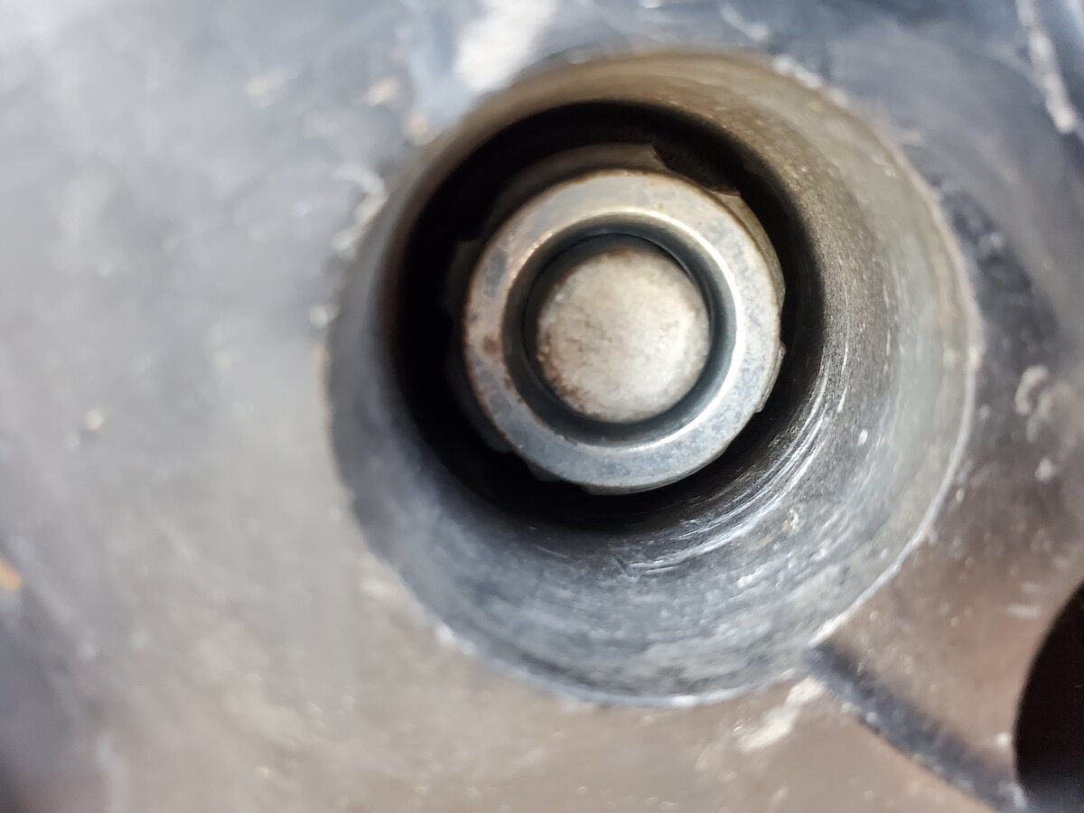 20220511_145558.jpg