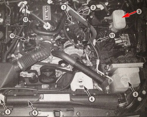 Brake-Bleed-02-116173.jpg