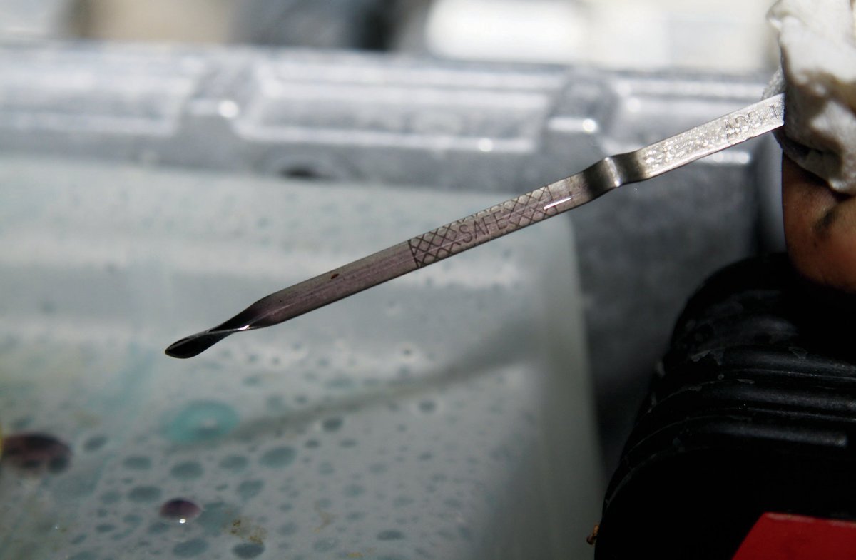 checking-dipstick.jpg