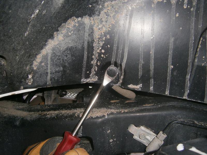Clip-Removal-114625.jpg