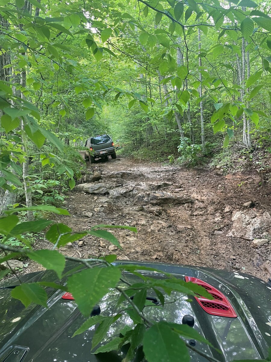DBBB Excursion.jpg