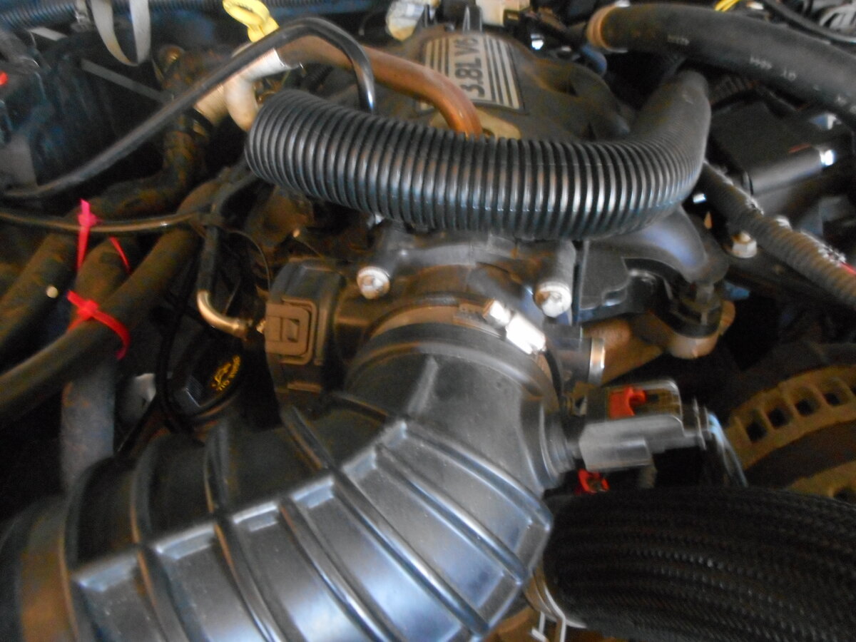 DSCN3392.JPG