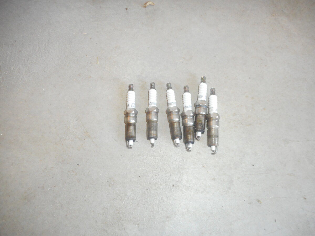 DSCN3393.JPG
