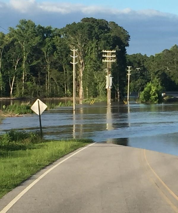 Flood 2.jpg