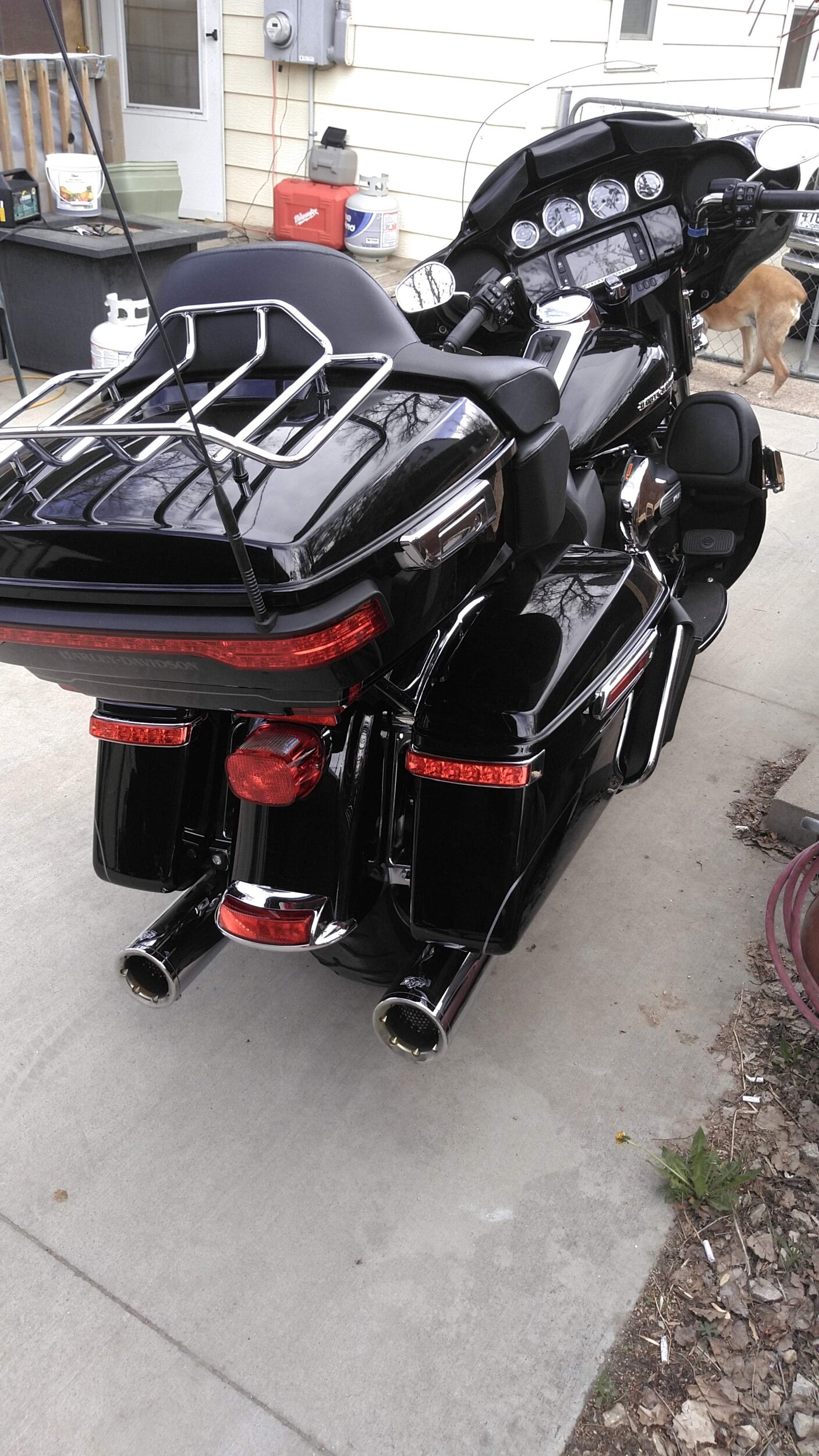Harley1.JPG