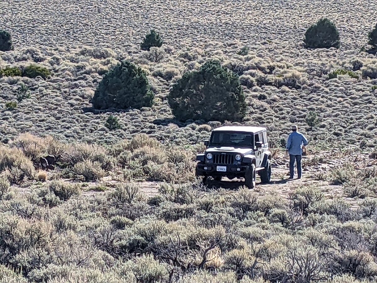 Nevada.jpg