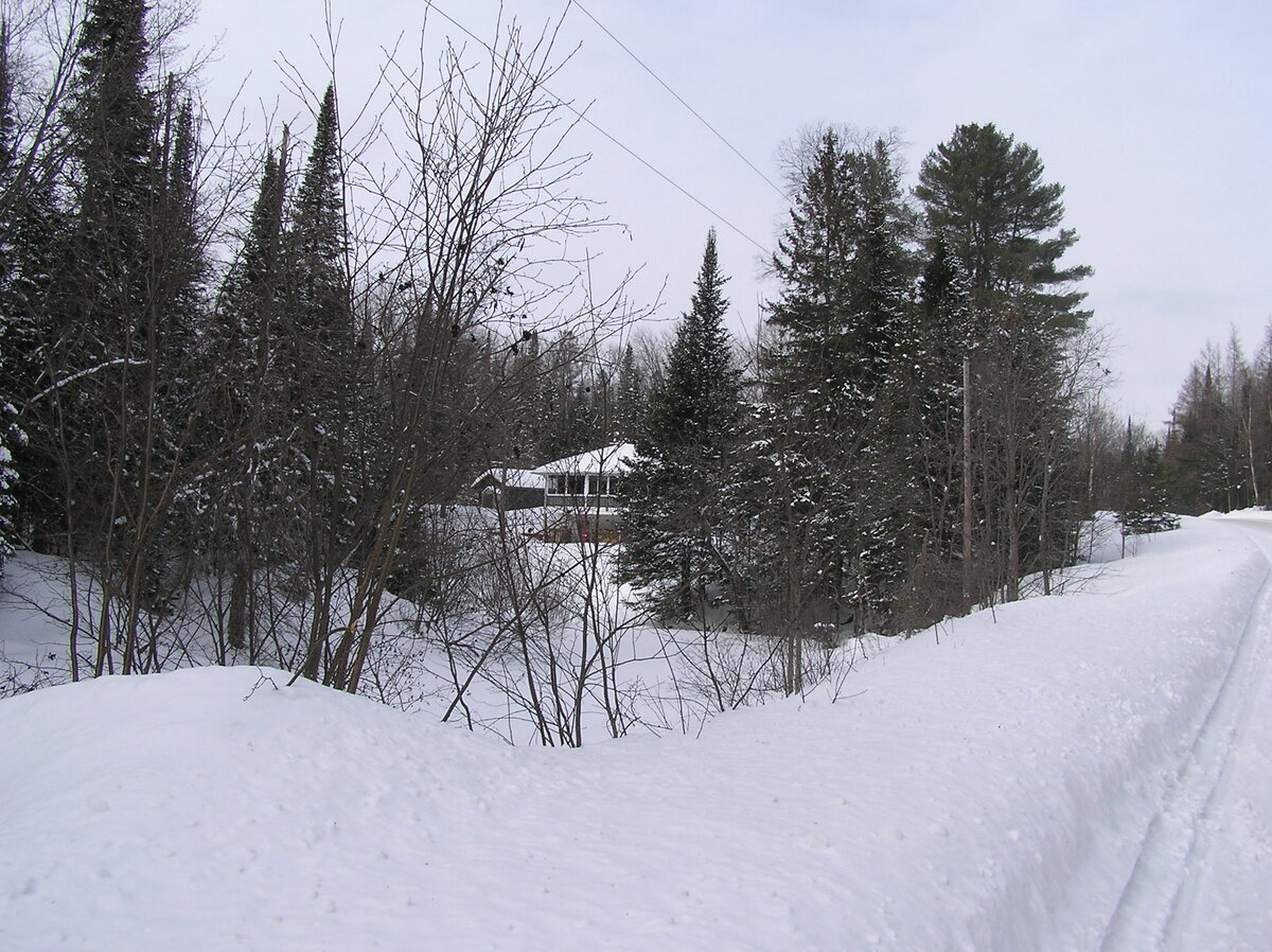 P1010004.JPG
