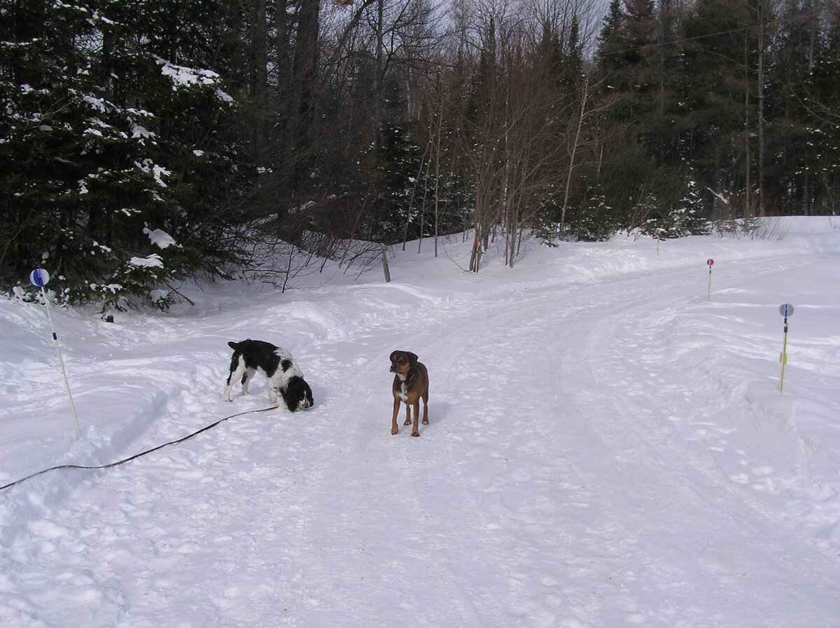 P1010009.JPG