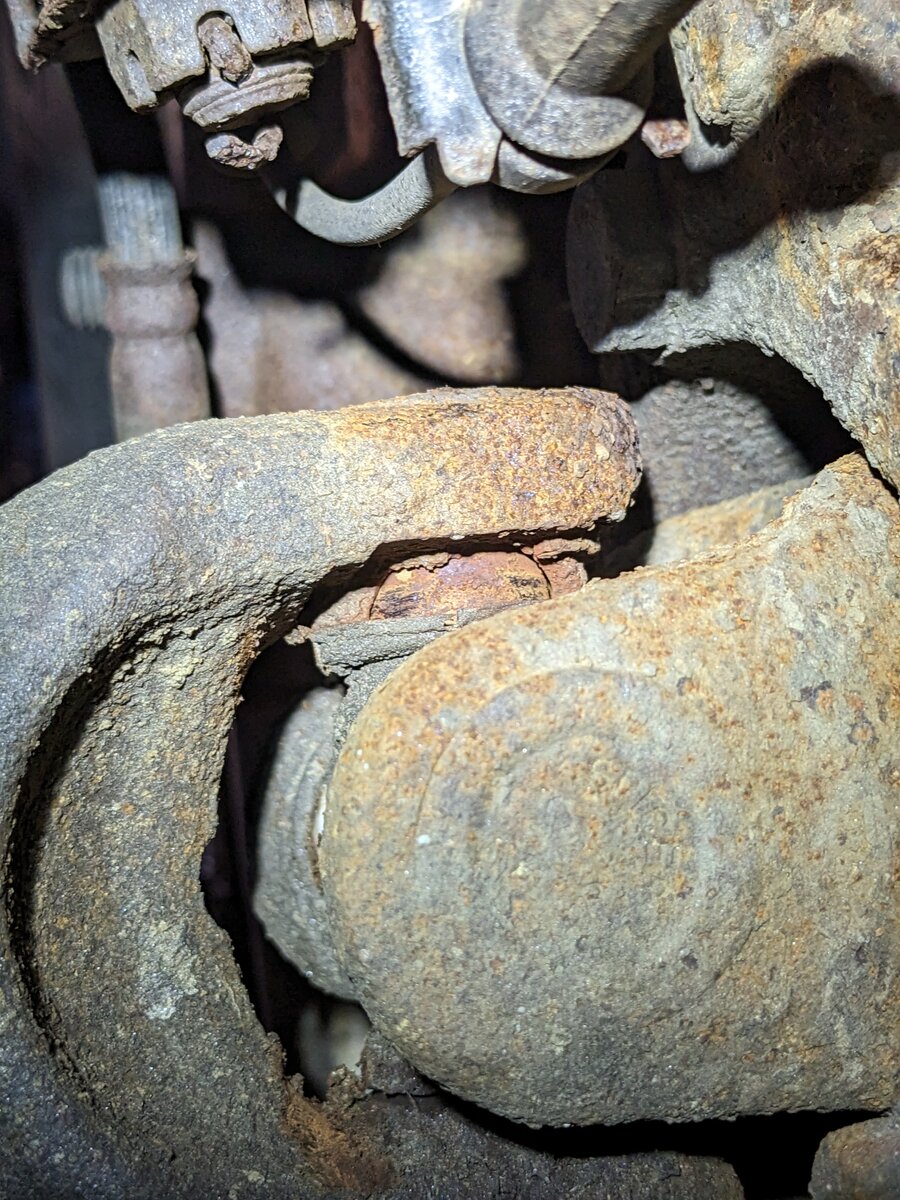 PXL_20230309_130026691.jpg