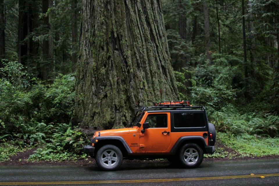 roof rack.jpg