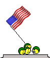 : usa :