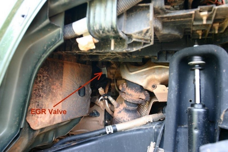 wrangleregrvalvelocationcorrect-116661.jpg