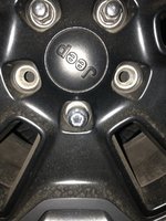IMG_8490.jpg