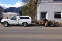 IMG_0227.jpeg