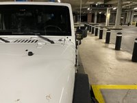 IMG_0006.jpg