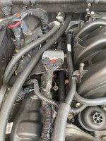 F1306225-0CB6-49B5-8676-553B2DAAEA6C.jpeg
