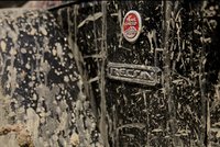 CA9AB505-D344-450E-8BD0-1FF6441E4B8E.jpeg