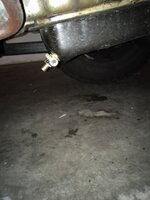 IMG_1628.JPG