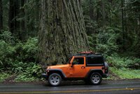roof rack.jpg