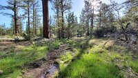 20200524_080138.jpg