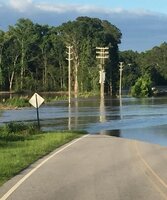 Flood 2.jpg