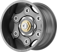 hMO9774-300x272.png