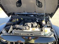 IMG_1129.jpg