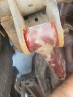 20200920_133752.jpg