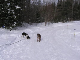 P1010009.JPG