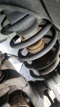 IMG-20210206-WA0019.jpeg