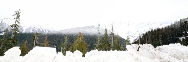 Pano Baker 1.jpg