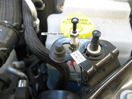 IMG_1176.jpg