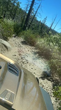 DA928558-97F5-4733-B7AF-966FE174BDF1.jpeg