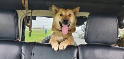 20201007_102434.jpg