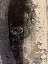 046B8A15-B38B-40D8-85E0-73B6FC6DDF28.jpeg
