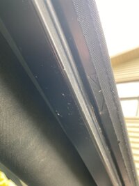 E350019F-2FEF-46B1-9BC2-E86DE166C0DD.jpeg