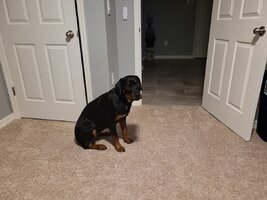 20220218_064839.jpg