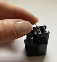 IMG_3564.jpg
