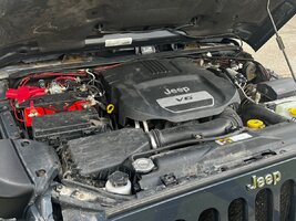 IMG_4180.jpg