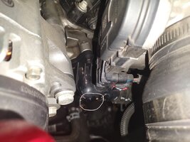IMG_20221008_162551395.jpg