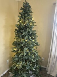 IMG_5667.JPG