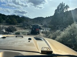 IMG_2320.jpeg