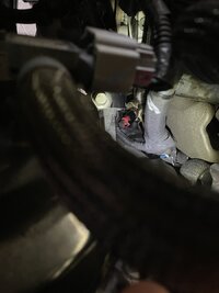 IMG_5165.jpeg
