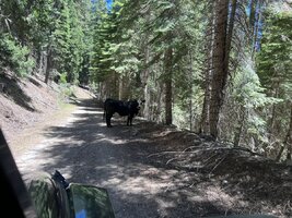 IMG_4985.jpeg