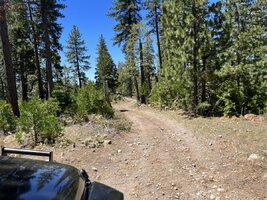 IMG_4983.jpeg