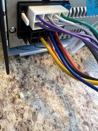 IMG_1311.jpeg