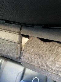 IMG_4414.jpeg