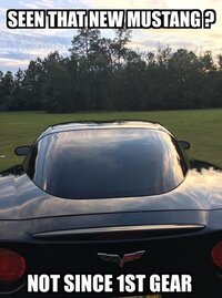 IMG_3290.JPG