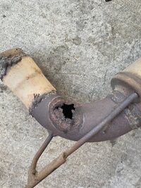 IMG_4755.jpeg