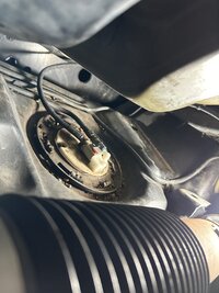 IMG_3982.jpeg